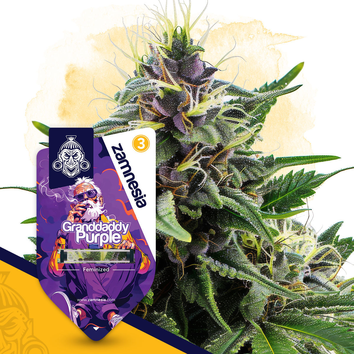 高濃度】H4CBHリキッド1ml Grand Daddy Purple Grand Daddy Purple 