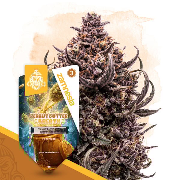 Peanut Butter Breath (Zamnesia Seeds) feminizada