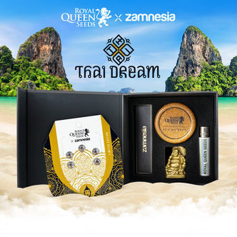 Thai Dream (Royal Queen Seeds x Zamnesia) feminizada