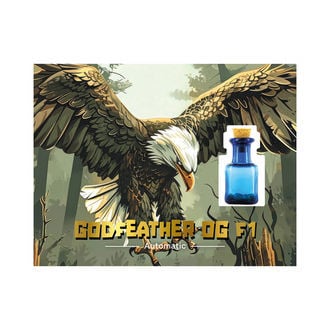 Godfeather OG F1 Auto (Zamnesia Seeds) feminizada