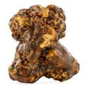 Titan Trufas Mágicas (Zamnesia)
