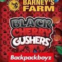 Black Cherry Gushers (Barney's Farm x Backpackboyz) feminizada
