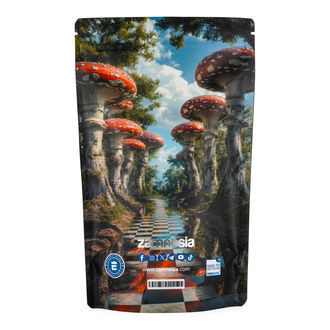 Z-Lock Stash Bags Zammi in Wonderland (Extra grande)