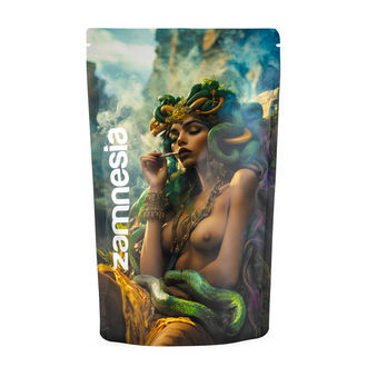 Bolsas con cierre hermético Medusa (Extra grande)