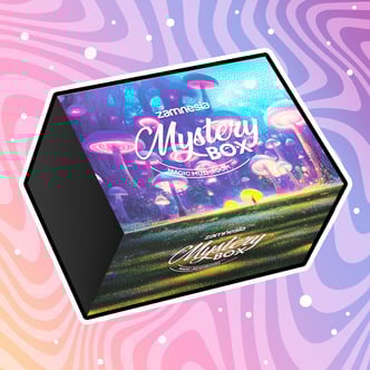 Caja sorpresa de setas alucinógenas (Zamnesia)