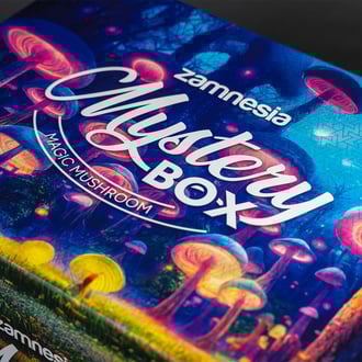 Caja sorpresa de setas alucinógenas (Zamnesia)