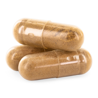 Cápsulas De Hongo Melena De León (Zamnesia)