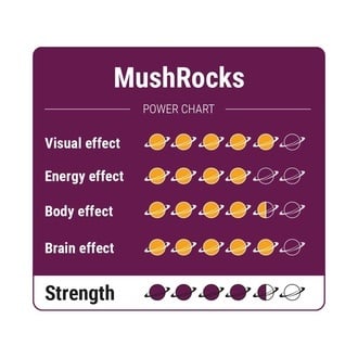 Trufas alucinógenas MushRocks