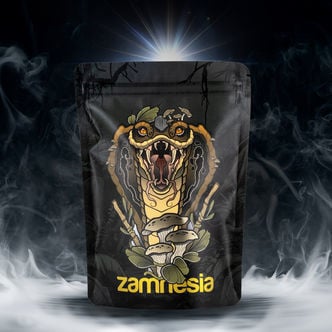 Pack TRIBE Treasure &ldquo;Rising Cobra&rdquo;