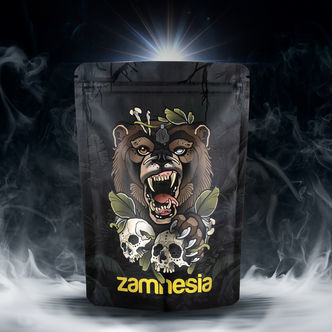 Pack TRIBE Treasure &ldquo;Roaring Bear&rdquo;