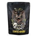 Pack TRIBE Treasure “Roaring Bear”