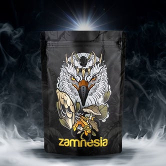 Pack TRIBE Treasure &ldquo;Legendary Eagle&rdquo;