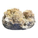 Bolsa de cultivo Ready-2-Grow 'Enigma' de Zamnesia