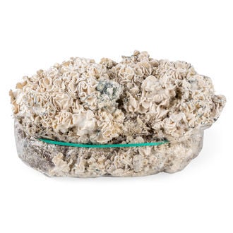 Bolsa de cultivo Ready-2-Grow 'Enigma' de Zamnesia