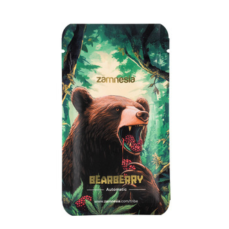 Bearberry Auto (Zamnesia Seeds) feminizada