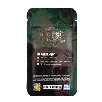 Bearberry Auto (Zamnesia Seeds) feminizada