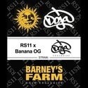 RS11 x Banana OG (Barney's Farm) feminizada