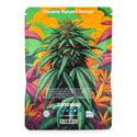 Pack In-Di-Couch Indica - Variedades Auto