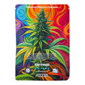 Pack Viva Sativa - Variedades Auto