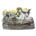 Bolsa de cultivo Ready-2-Grow 'Bluey Vuitton' de Zamnesia