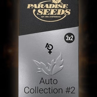 Pack Colección Auto 2 (Paradise Seeds) feminizada