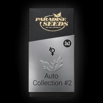Pack Colección Auto 2 (Paradise Seeds) feminizada