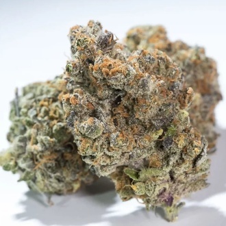 Glowstarz (Paradise Seeds) feminizada