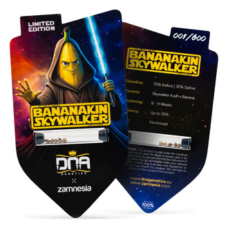 Bananakin Skywalker (Zamnesia Seeds x DNA Genetics) feminizada