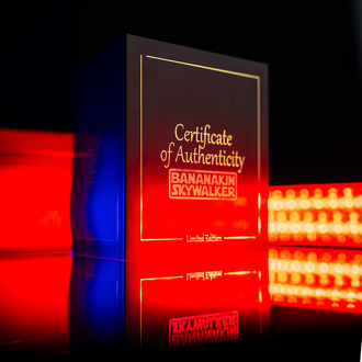 Bananakin Skywalker (Zamnesia Seeds x DNA Genetics) feminizada