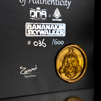 Bananakin Skywalker (Zamnesia Seeds x DNA Genetics) feminizada