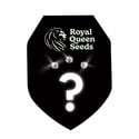 3 semillas autoflorecientes sorpresa (Royal Queen Seeds)