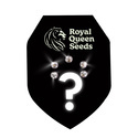 5 semillas feminizadas sorpresa (Royal Queen Seeds)