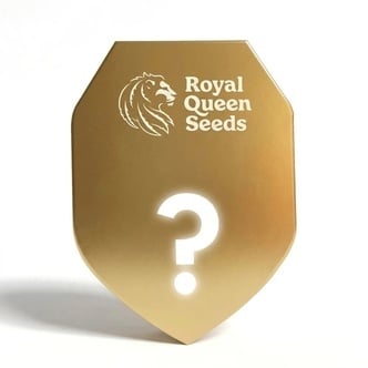 Semillas Misteriosas Autoflorecientes F1 5 (Royal Queen Seeds)