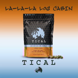 La-La-La Log Cabin (TICAL) feminizada