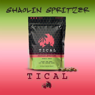 Shaolin Spritzer (TICAL) feminizada