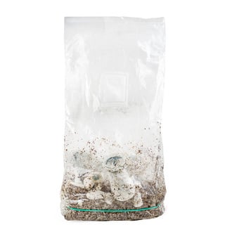 Bolsa de cultivo Ready-2-Grow 'APE' de Zamnesia