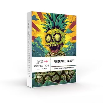 Pineapple Daddy (Happy Valley Genetics) feminizada