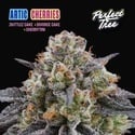 Artic Cherries (Perfect Tree) feminizada