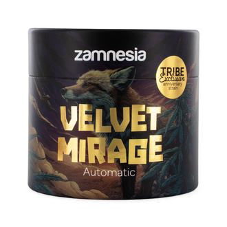 Velvet Mirage Auto (Zamnesia Seeds) - 4 Semillas feminizadas + Grinder