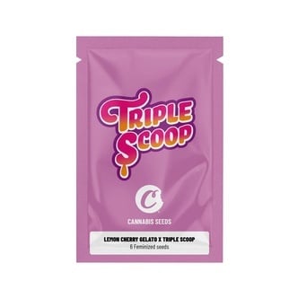 Lemon Cherry Gelato x Triple Scoop (Cookies) feminizada