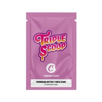 Berniehana Butter x Triple Scoop (Cookies) feminizada
