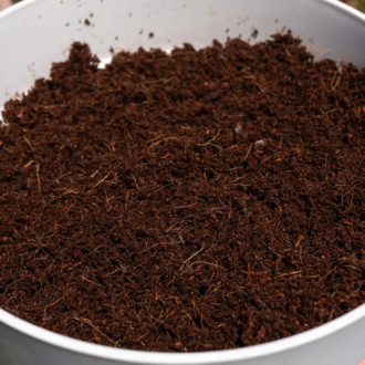 Bloqus de Coco 10L (Zamnesia)