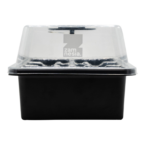 Kit de propagación de semillas (Zamnesia)