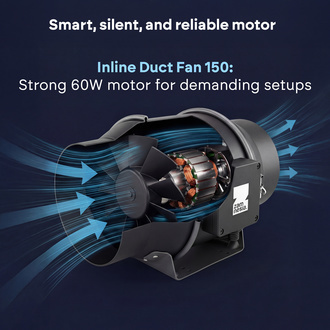 Kit cultivo interior 120x120 (Zamnesia)