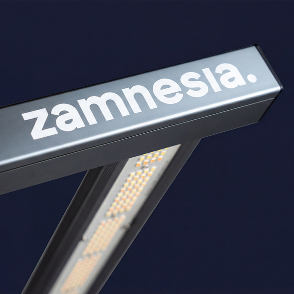 Lámpara LED de cultivo Phytonaut 240 W (Zamnesia)