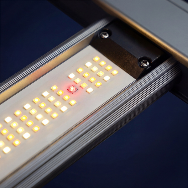 Lámpara de cultivo LED Phytonaut 320 W (Zamnesia)