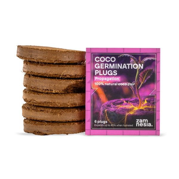 Tacos de Germinación de Coco (Pack de 6)