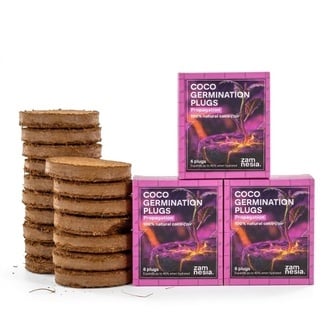 Pack Tacos de Germinaci&oacute;n Coco