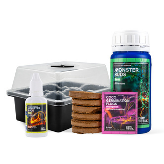 Pack de Inicio Feminizadas