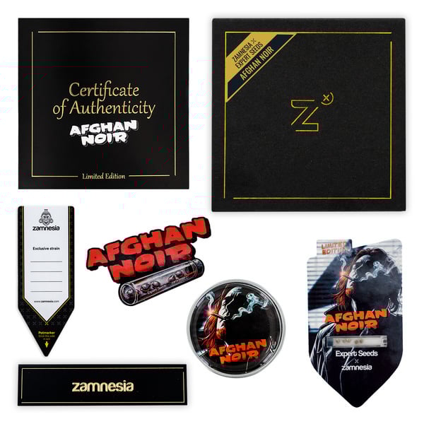 Afghan Noir (Zamnesia Seeds x Expert Seeds) feminizada